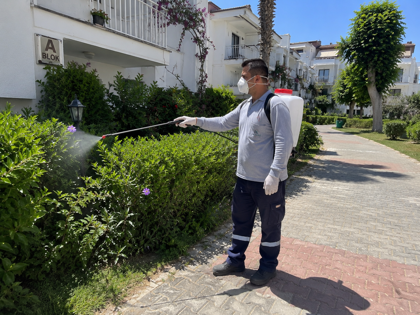 Yazlık Sitelerde İlaçlama Nasıl Yapılmalı?