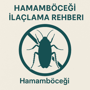 hamambceogi rehber (1)