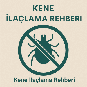 kene ilaclama rehberi